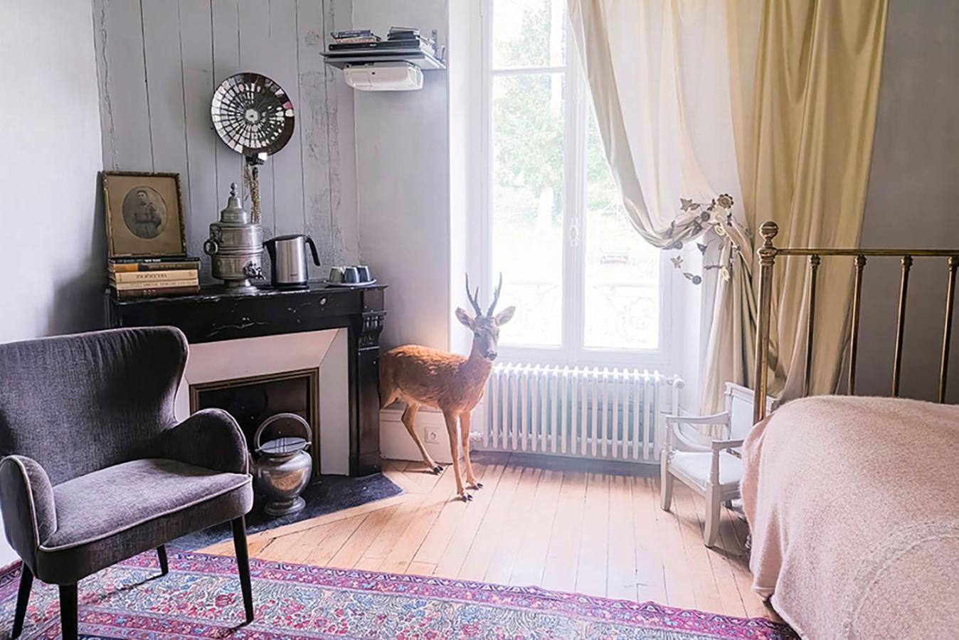 Maison D'Hotes Stella Cadente โพรแว็ง ภายนอก รูปภาพ