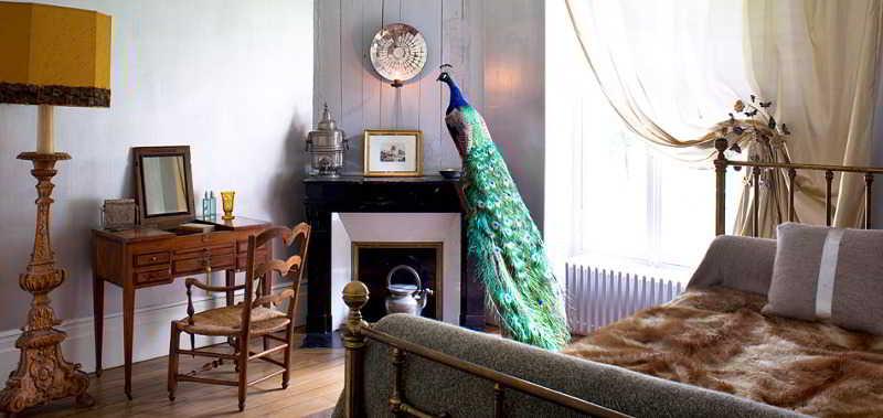 Maison D'Hotes Stella Cadente โพรแว็ง ภายนอก รูปภาพ